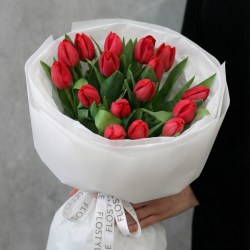 15 красных тюльпанов